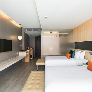 VISTA (deluxe room)