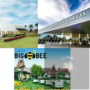 ทัวร์ชมเมือง (ฟรี)
