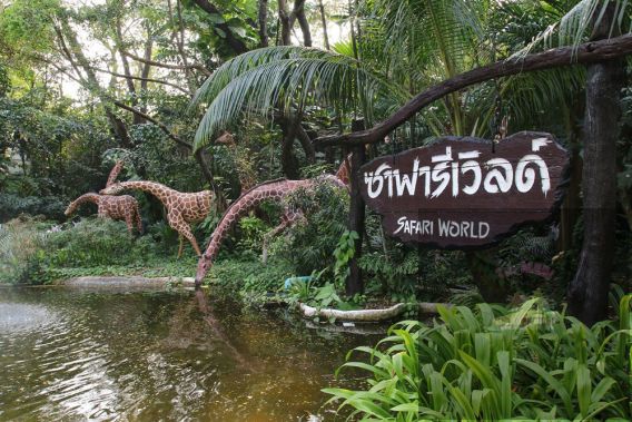 ซาฟารีเวิลด์ (ผู้ใหญ่) 