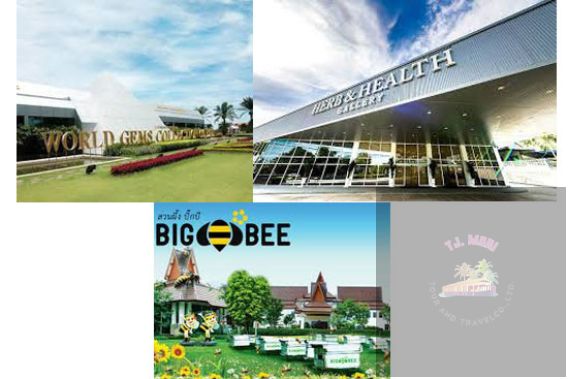 ทัวร์ชมเมือง (ฟรี)